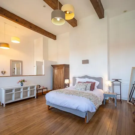 Chateau De Loubejac Hotell 3*