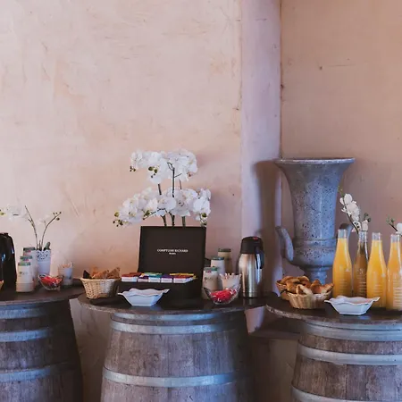 Chateau De Loubejac 3* Lamothe-Capdeville