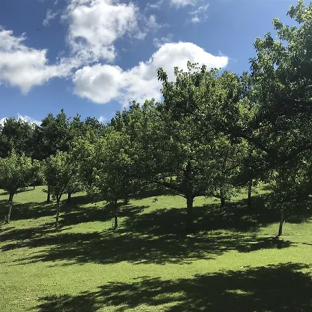 Hotel Chateau De Loubejac