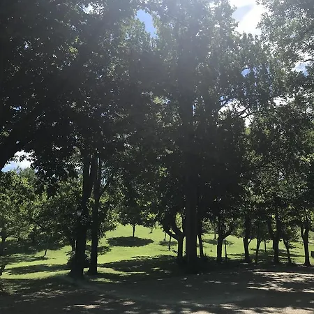 Hotel Chateau De Loubejac