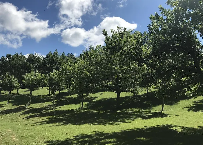 Hotel Château De Loubéjac
